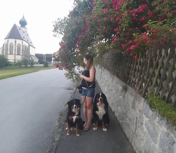 Maison d'hôtes Gasthof-pension Zur Linde *
